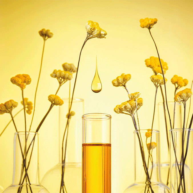 About Immortelle Ingredient